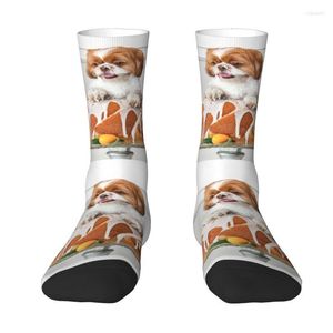 Erkek Çoraplar Shih Tzu Kek Erkekler Mürettebat Unisex Sevimli Köpek Bahar Yaz Sonbahar Kış elbisesi