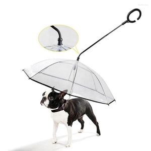 Siedzisko samochodu dla psów 2023 Parasol domowy smycz smyczowy deszczowy śnieg dla małych psów Regulowany pies