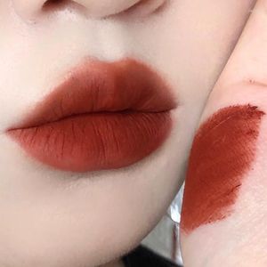 Lip Gloss 6 Colors Matte Velvet Red Brown Sexy Mousse Mud Waterproof Lasting Moisturizing Non Stick Cup Lipstick Cosmetics