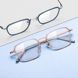 Solglasögon ramar Pure Titanium Spectacle Flexibla glasögonben med linsform tydligt anti -ögonlätt Lätt FS99