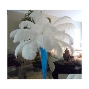 Decora￧￣o de festa 1820 polegadas 4550cm Plumas de penas de avestruz brancas para a decora￧￣o de evento central da pe￧a de casamento