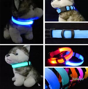 Nylon liderado colarinho de cachorro liderou a seguran￧a da noite LED LED PLANTO GLOW PET Supplies Pet Gat Acess￳rios para c￣es para colarinho de c￣es pequenos led USB