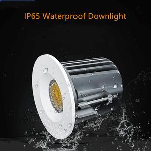 Downlights IP65 Vattentät LED -lampan 220V Infälld lamptak 10W 20W 30W BAMBRUGGISLE Sovrum utomhus inomhus Spot Light