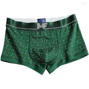 Underpants Men's Cotton Boxer Shorts Sports Underwear Pouch Penis Star Print Seamless Panties Breathable Slips Mid Rise Lingerie
