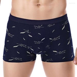 Underbyxor varumärke män underkläder boxare bomull homme tryck 3d boxershorts män boxare man