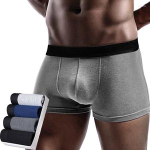 Трусы 4pcs/lot boxers Мужчина модальное нижнее белье сексуальное U выпукло