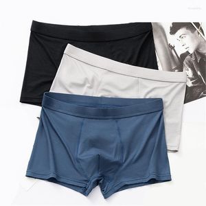 Underbyxor män trosor lång underkläder boxare bomull lös under slitage plus storlek boxare för homme boxershort