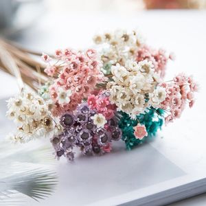Dekoratif Çiçek Çelenkleri 30 adet kurutulmuş korunmuş çiçek doğal bitkiler küçük yıldız mini papatya düğün buket ev oturma odası dekorasyon