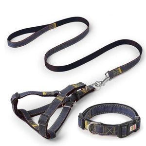 Collari per cani Guinzagli Collare a catena grande di medie dimensioni Teddy Golden Retriever Pet Walking Rope Products