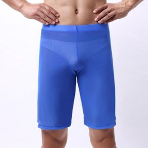 Underbyxor mesh mens boxer shorts se genom underkläder sportboxare stammar trosor sexiga intima underkläder