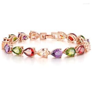 Link Bracelets Charm Bridal Wedding Bracelet Rose/ Champagne Gold Color Multicolour Cubic Zircon Bangles For Women Jewelry