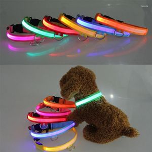 Hundehalsbänder Nylon LED Haustierhalsband USB-Aufladung Sicherheit Nachtlicht Anti-Verlust / Autounfall Vermeiden Sie leuchtendes Zubehör