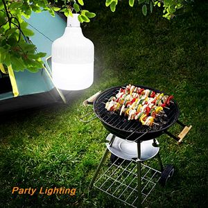 Lanterna da pesca portatile ricaricabile da campeggio Luce di emergenza USB a LED Batteria incorporata Torcia luminosa da esterno con gancio
