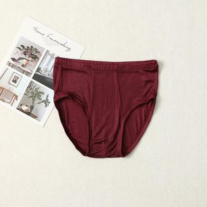 Underpants 30%Silk 70%Viscose Men Underwear Comfortable Knitted Briefs Classical Mens Bikini