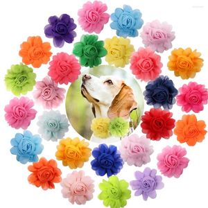 Dog Apparel Fashion Solid Gauze Bows Slidable Collar Big Flower-Collar Supplies Bow Tie Pet Accessories