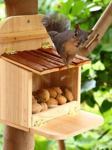Outros pássaros abastecem o alimentador de esquilos de madeira ao ar livre, casa de armazenamento de amendoim de milho para o jardim de jardim do parque de jardins ferramenta de alimentação de animais