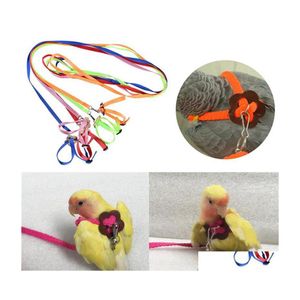 Andra fågelförsörjningar Pet Parrot Traction Strap Antibite Training Rope Outdoor Leash Justerbar sele för Hamster Lizard Drop Delive Dhjkr