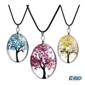 Pendant Necklaces Fashion Dried Flower Specimen Oval Glass Cabochon Tree Of Life Leather Wax Rope Chains For Women Diy Jewelry Gift Otlte