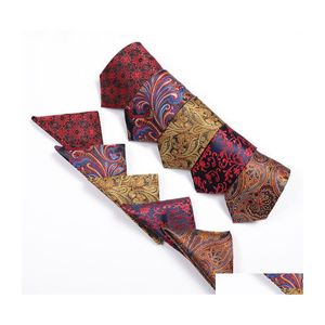 Neck Tie Set Luxury Mens Ties Square Scarf Floral Paisley Wedding Party Pocket Squares Cufflinks Man Fashion Accessories Drop Deliver Ot0El