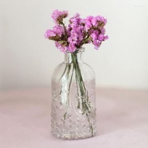 Bottiglie di stoccaggio Vasi di vetro trasparente per bottiglia di piante Vaso di fiori Vaso da tavolo contenitore per terrario idroponico creativo nordico