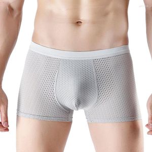 Underbyxor sexiga u påse män underkläder boxare herr boxer shorts cuecas trosor man mesh hål ihåliga andningsbara bekväma homme