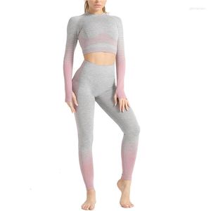 Aktif Setler Kadın Yoga Set Sessiz Taytlar Uzun Kollu Mahsul En İyi Spor Sütyen Koşu Pantolon Giyim Giyim Giyim Fitness Egzersiz Takım