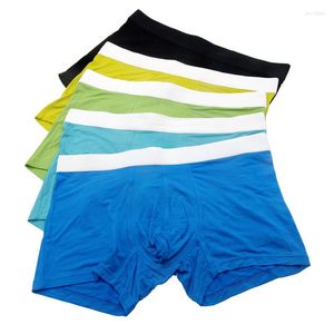 Mutande Sexy Boxer Uomo Pantaloncini di cotone Biancheria intima Maschile Foro inguinale Mutandine traspiranti Custodia per pene Rigonfiamento Boxer neri