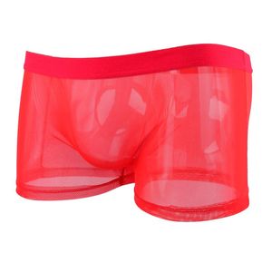 Underpants Sexy Men's Net Yarn Underwear Boxer Pants Man Fishnet Transparent Low-waist Grid Penis Erotic Pouch Mens BriefsUnderpants