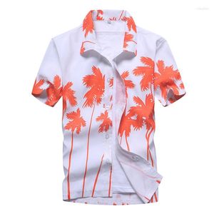 Mäns avslappnade skjortor mode strand hawaiian män kläder 2023 sommar kokosnöt träd tryckt kort ärmknapp ner aloha mens