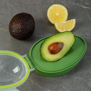 Кухня хранения авокадо коробка прозрачная крышка половина фруктов