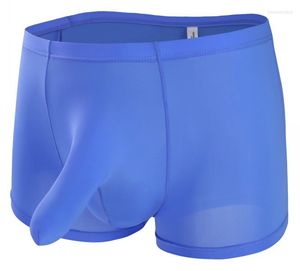 Underpants Men's Underwear Sexy Boxers Shorts Elephant Nose Ice Silk Gay Panties Male