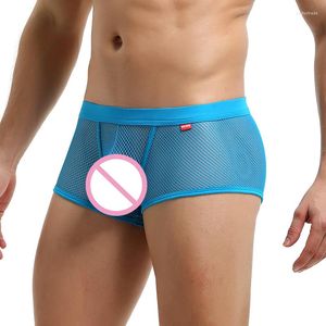 Underbyxor sexiga herrboxare shorts calzoncill hombre glid erotiska nät transparent underkläder gay trosor boxershorts ondderbroek