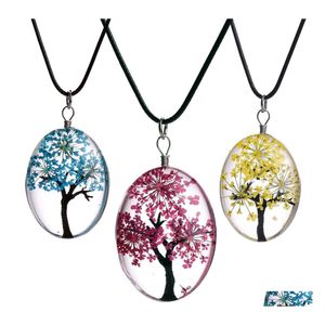 Pendant Necklaces Fashion Dried Flower Specimen Oval Glass Cabochon Tree Of Life Leather Wax Rope Chains For Women Diy Jewelry Gift Dhset