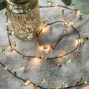 Luci notturne Mycyk Led Filo di rame Lampada Frutta String Canna Ins Decorazione della stanza Festa di nozze di Natale