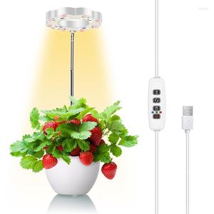 Grow Lights LED -ljus SM -chipväxtlampa för inomhusväxter som växer och blommar