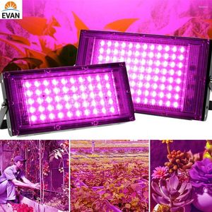 Grow Lights LED -ljus Phyto -lampa 100W 200W 50W Full Spectrum -strålkastare med 1M trådomkopplare för växthushydroponisk växttillväxt