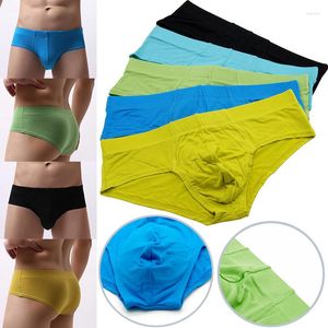 Underpants 5pcs/2PC