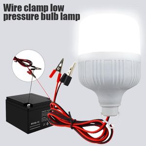 Led Light Portable Bulb DC 12V 5W 9W 15W Spot Filament Outdoor Camp Tent Night Fishing Hanging Lighting