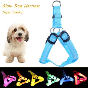 犬の襟がLED LID LID LIDE LUMINOUS HARNESS NIGHT SAFETY ANTI-LOST ADAGHNENSES BELT LEASH COLLAR VEST SUPPLIES for Small Pet Chihuahua