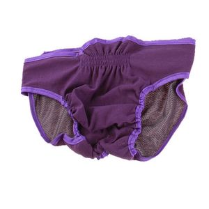 Calcinha de vestuário para cachorro calças de fraldas menstruação para meninas suprimentos femininos roupas de roupa íntima Pets Fisiological Pont Papy