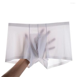 Underpants Men Boxers Underwear Comfortable Seamless Man Boxershorts Slip Panties Soft Nylon Ice Silk Calzoncillo Hombre