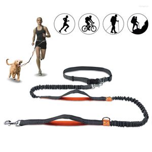 Hundhalsar Infällbar koppel Hands Free Bungee Pet Leashes Dogs Harness Collar Jogging Dual Handtag och justerbart midjerep