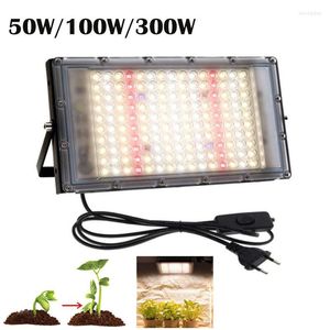 ライトを栽培300WデイライトLED Plant Light Seed Flower Growing Phyto Lamp Kit Full Spectrum 220V for Indoor Tent Box照明P1