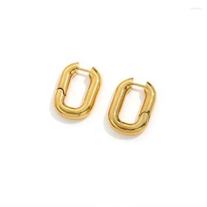 Hoop Earrings & Huggie Punk Irregular Stainless Steel Oval Gold Gift For Women 2023 Trends Accessories Jewelry Argollas PendientesHoop Indu2