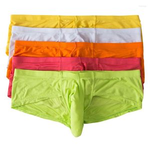 Mutande 5 Pz/lotto Biancheria Intima Sexy Modale Boxer da Uomo Pene Pouch Slip Homme Mutandine Bikini Sospensorio Boxer