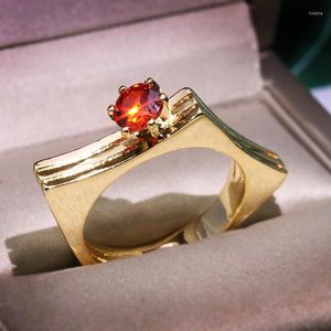 Cluster Rings Luxury Yellow Gold Filled Red Zircon Stone Ring For Women Silver Plate Charms Crossed Design Crystal Wedding Engagement
