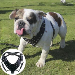 Odzież dla psa Czarno -brązowa skórzana kamizelka PU Pitbull Regulowane kolce srebrne nity Big Spike Harness