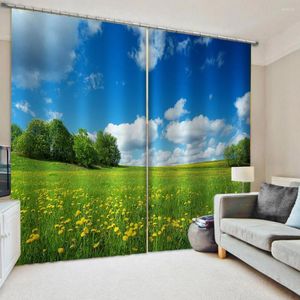 Curtain Custom 3D Green Grass Sky Windows Curtains Thin For Living Room Bedroom Decorative Kitchen Drapes Treatments Dropship