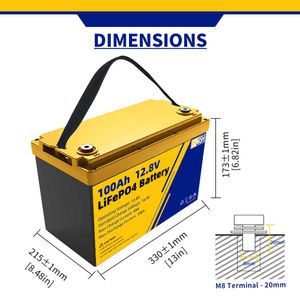 LiFePO4 Batteria Litio Ferro Fosfato12V 24V 100AH 200AH Batteria Ricaricabile BMS Incorporato Per Carrello Elevatore Domestico Golf Cart Barca RV