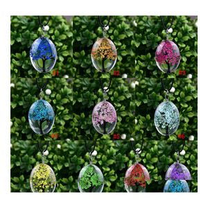 Collane a ciondolo Oval Tree of Life Glass per donne Fiori secchi campione in pelle Gioielli Fashion Deliping Delivery Delivery Pendenti Otkh1